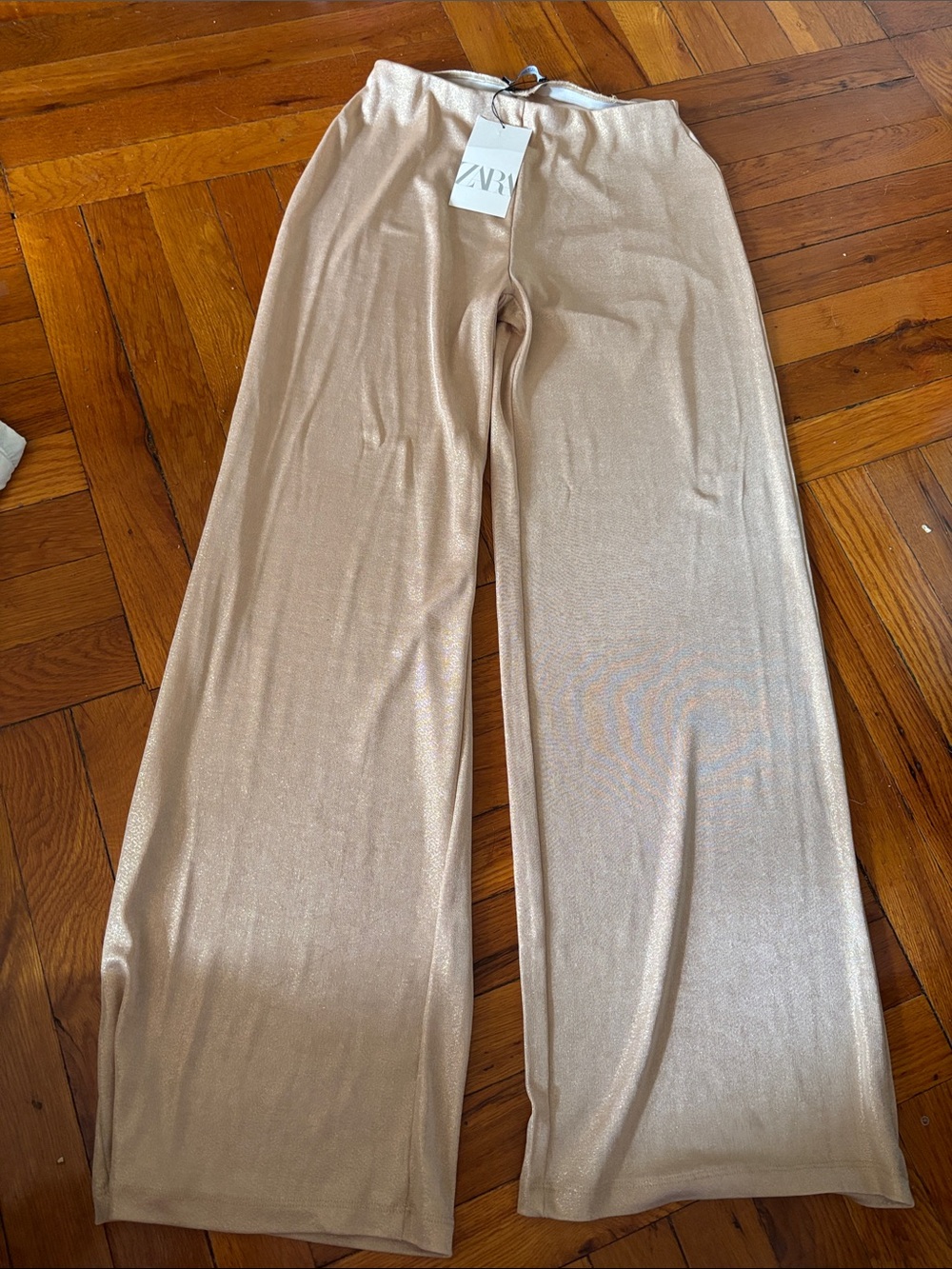 Sheer Zara Pants
